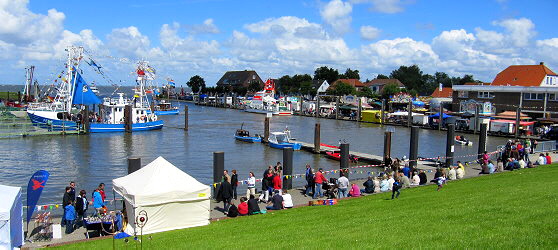 Kutterregatta in Fedderwardersiel